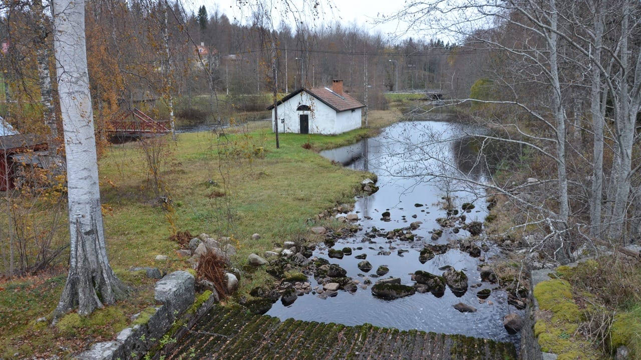 Damm vid Säfssjön. Foto: Maria Karlsson