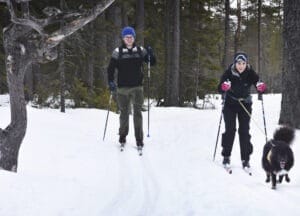 Sörskog lockar åkare från hela landet, och här gästas man av skidentusiaster och fyrfotingar från Uppsala. Foto: Sonny Jonasson